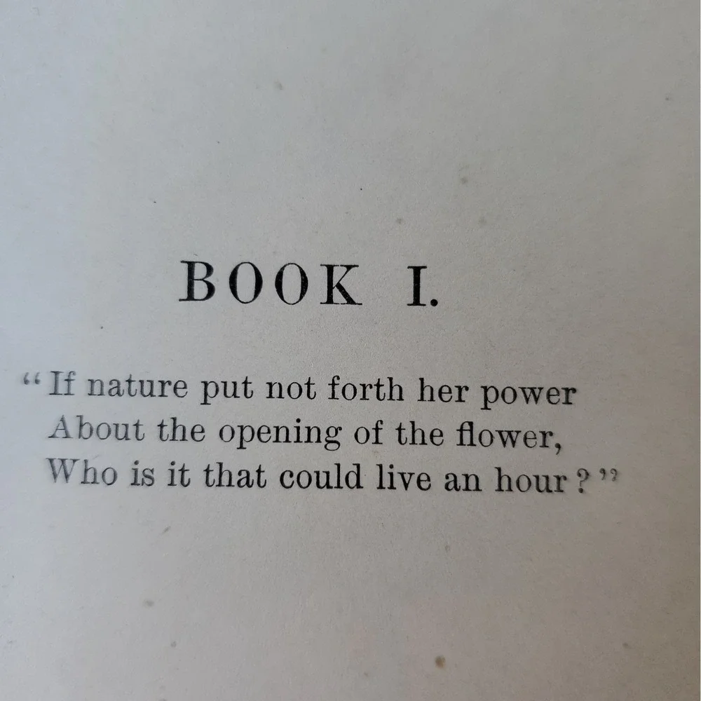 Mrs. Humphry Ward Marcella Vol II HC Macmillan NY 1894 English Rare Antique book
